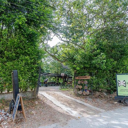 Ayenda Flora Jaguar Bed & Breakfast Ibague Exterior photo