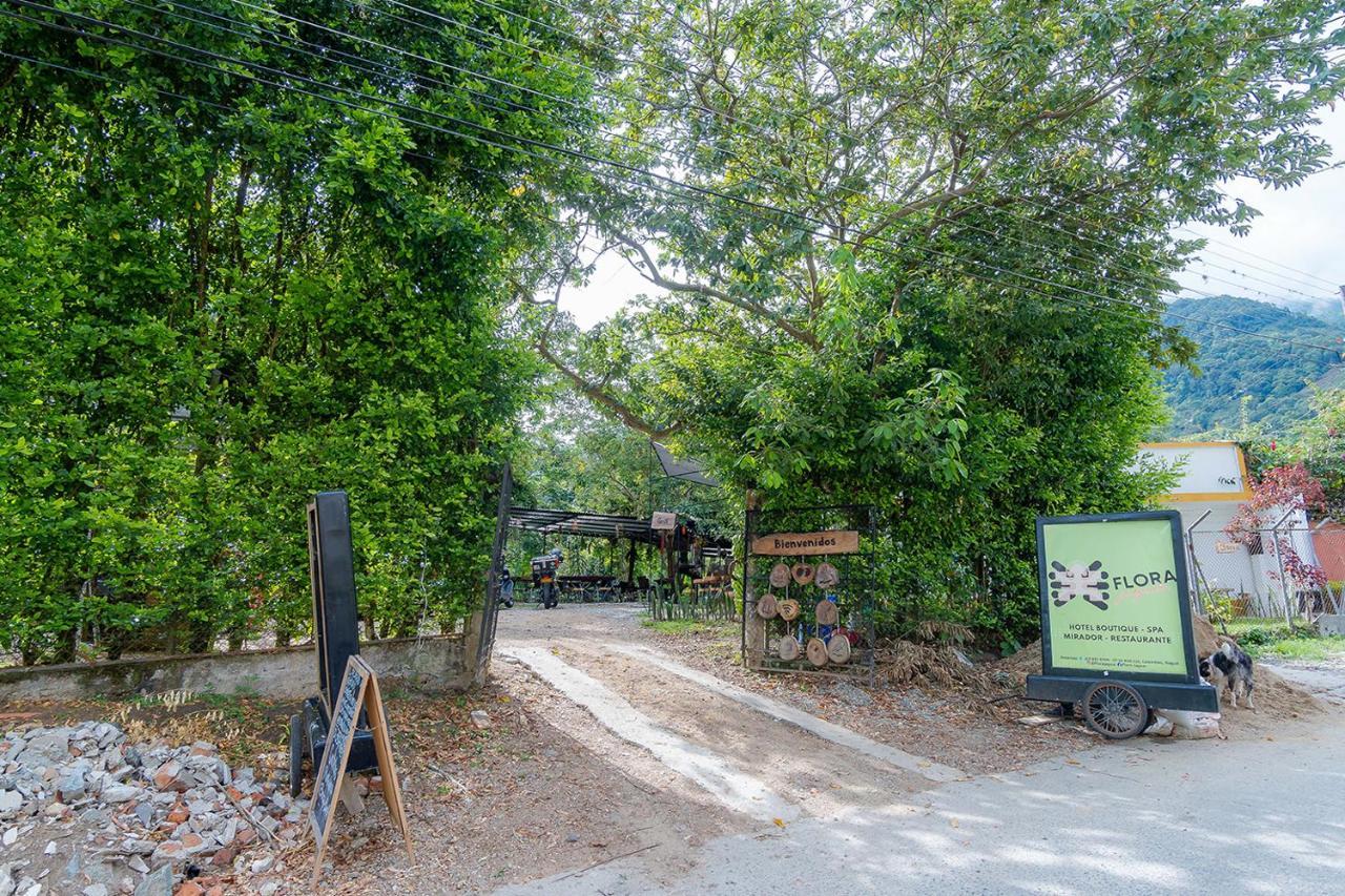 Ayenda Flora Jaguar Bed & Breakfast Ibague Exterior photo