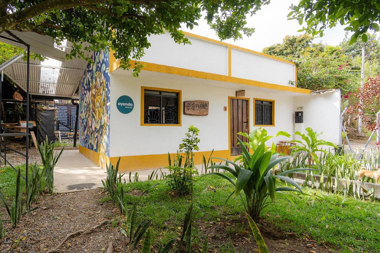 Ayenda Flora Jaguar Bed & Breakfast Ibague Exterior photo